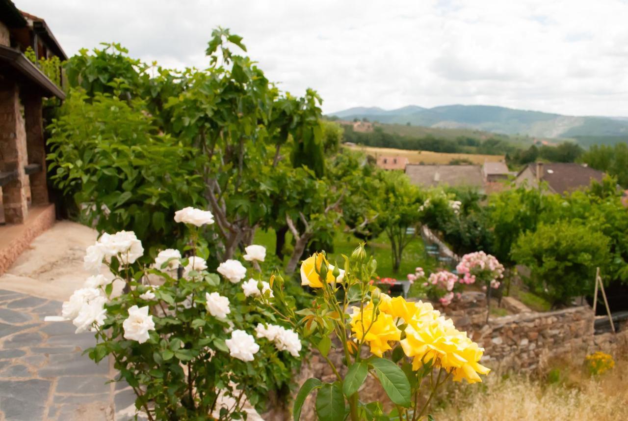 Casa Rural, Spa Y Restaurante El Huerto Del Abuelo Almiruete Extérieur photo